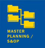 Master Planning/ S&OP